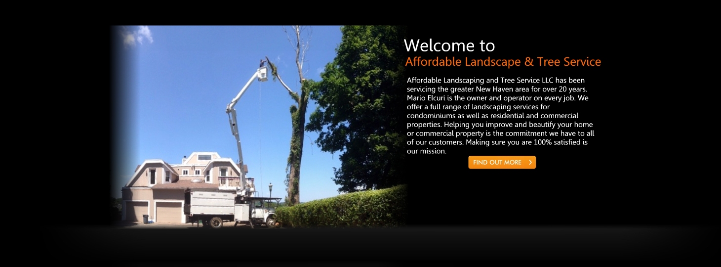 Affordable Landscaping and Tree Service LLC has been
servicing the greater New Haven area for over 20 years.
Mario Elcuri is the owner and operator on every job. We
offer a full range of landscaping services for
condominiums as well as residential and commercial
properties. Helping you improve and beautify your home
or commercial property is the commitment we have to all
of our customers. Making sure you are 100% satisfied is
our mission. Affordable Landscaping and Tree Service LLC has been
servicing the greater New Haven area for over 20 years.
Mario Elcuri is the owner and operator on every job. We
offer a full range of landscaping services for
condominiums as well as residential and commercial
properties. Helping you improve and beautify your home
or commercial property is the commitment we have to all
of our customers. Making sure you are 100% satisfied is
our mission.