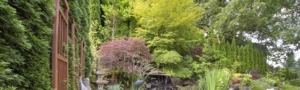 New Haven, CT – Fall Landscape Maintenance, Pruning, Tree Removal, Yard Cleanup